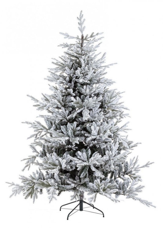 Albero Bernina Innevato H240-4117Rami